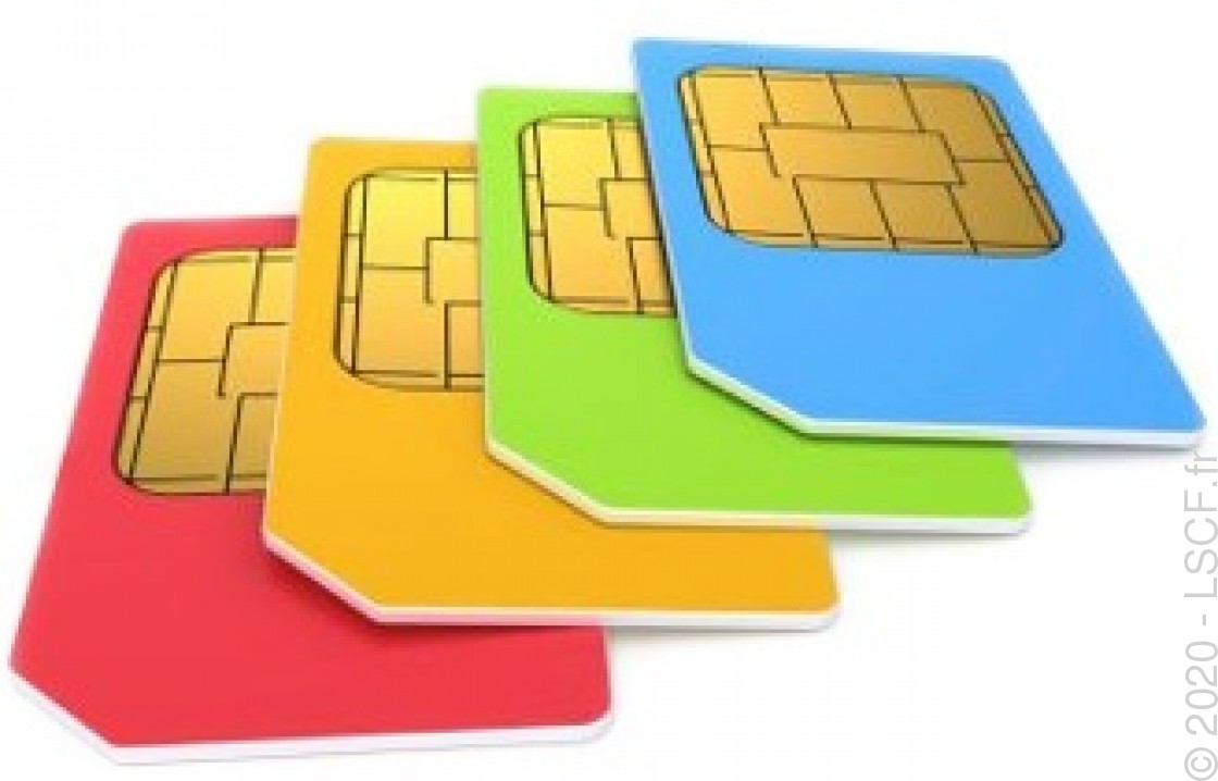 AFSIMMULTI Carte Sim multiopérateur format mini SIM 1 mois inclus